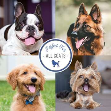 Nature's Specialties Plum Silky Dog Conditioner Concentrate for Pets, Natural Choice for Professional Groomers, Keratin and Silk Proteins, Made in USA, 16 oz