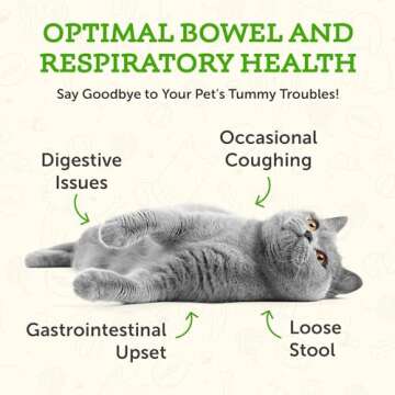 Animal Essentials Slippery Elm - Herbal Extract for Dogs and Cats, Promotes Healthy Digestion, Bowel Function, Certified Organic Herbs, All Natural, Respiratory Health, Liquid Formula - 1 Fl Oz