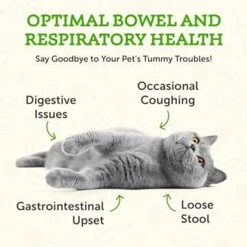 Animal Essentials Slippery Elm - Herbal Extract for Dogs and Cats, Promotes Healthy Digestion, Bowel Function, Certified Organic Herbs, All Natural, Respiratory Health, Liquid Formula - 1 Fl Oz