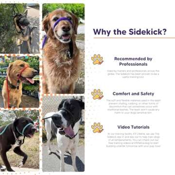 Sidekick Dog Headcollar & Leash - Transform Walks Today