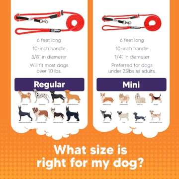Sidekick Dog Headcollar & Leash - Transform Walks Today