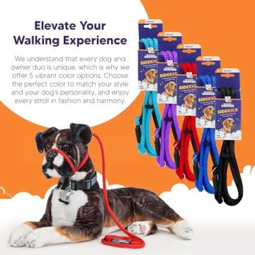 Sidekick Dog Headcollar & Leash - Transform Walks Today