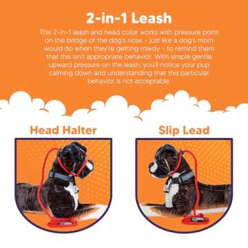 Sidekick Dog Headcollar & Leash - Transform Walks Today