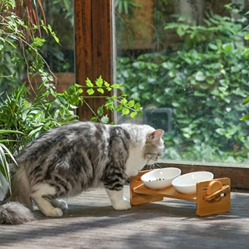FUKUMARU Elevated Cat and Dog Bowls - 15° Tilted Design