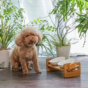 FUKUMARU Elevated Cat and Dog Bowls - 15° Tilted Design