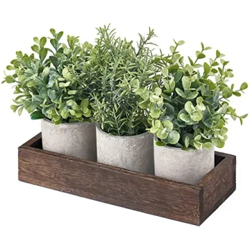 Eucalyptus Mini Potted Plants - Farmhouse Decor