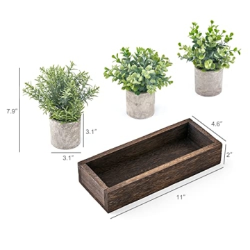 Eucalyptus Mini Potted Plants - Farmhouse Decor