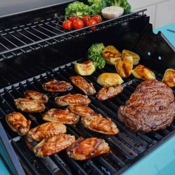 Monument 2-Burner BBQ Grill with Clearview Lid