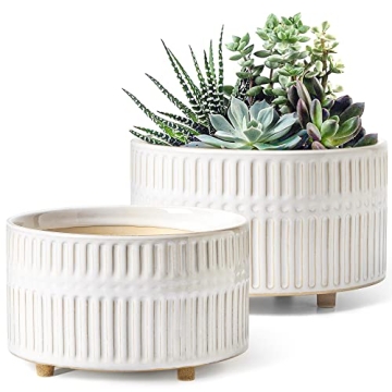 LE TAUCI Succulent Pots, 6.5+8 Inch Ceramic Indoor Plant Pot with Drainage Hole, Modern Round Decora...