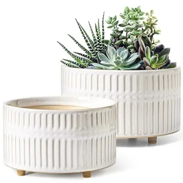LE TAUCI Succulent Pots, 6.5+8 Inch Ceramic Indoor Plant Pot with Drainage Hole, Modern Round Decora...