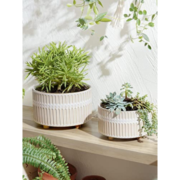 Elegant LE TAUCI Ceramic Succulent Pots for Indoor Gardening