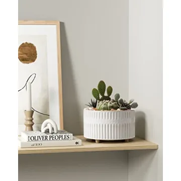 Elegant LE TAUCI Ceramic Succulent Pots for Indoor Gardening
