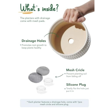 Elegant LE TAUCI Ceramic Succulent Pots for Indoor Gardening