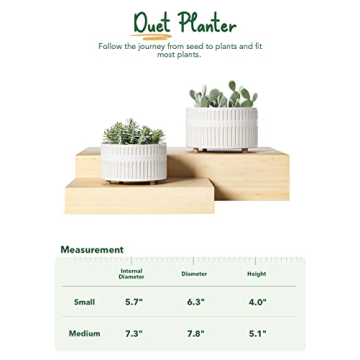 Elegant LE TAUCI Ceramic Succulent Pots for Indoor Gardening