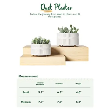 Elegant LE TAUCI Ceramic Succulent Pots for Indoor Gardening