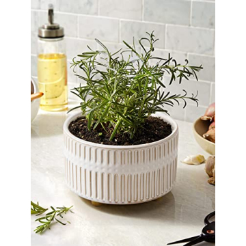 Elegant LE TAUCI Ceramic Succulent Pots for Indoor Gardening