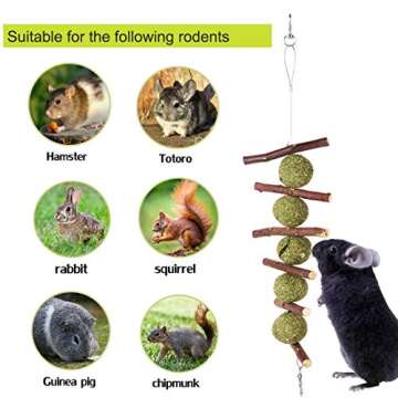 Bunny Chew Toys for Teeth, Natural Organic Apple Sticks for Rabbits, Chinchillas, Guinea Pigs, Hamsters Chewing Playing Improve Dental Health