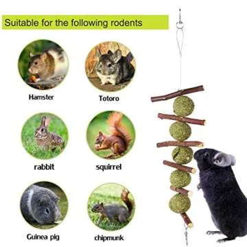 Natural Chew Toys for Rabbits Promoting Dental Health