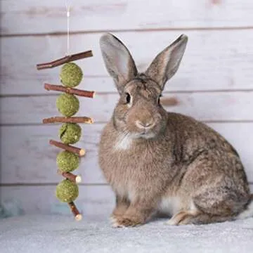 Natural Chew Toys for Rabbits Promoting Dental Health