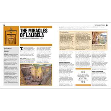 The Black History Book: Big Ideas Simply Explained (DK Big Ideas)