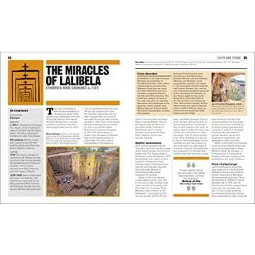 The Black History Book: Big Ideas Simply Explained (DK Big Ideas)