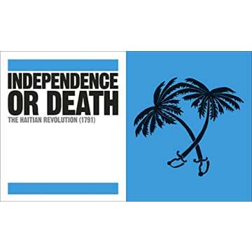 The Black History Book: Big Ideas Simply Explained (DK Big Ideas)