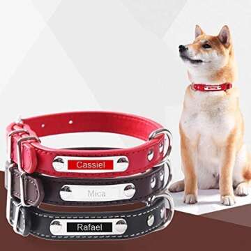 Absonic 10-Pack Self-Adhesive 3D Plastic Embossing Label Tape 9mm 3/8" Compatible for 3D Label Tape Organizer Xpress Pro Label Maker, Black/Fluorescent Pink/Lake Blue/Lake Green/Pink/Yellow