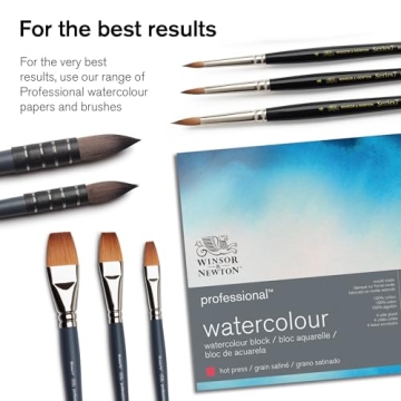 Winsor & Newton Professional Watercolor Paint Set, 24 Half Pans