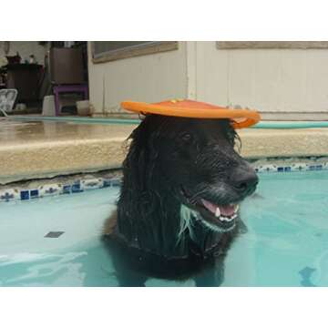 Nerf Dog Nylon Flyer Dog Toy, Durable & Lightweight Flying Disc for Medium/Large Breeds