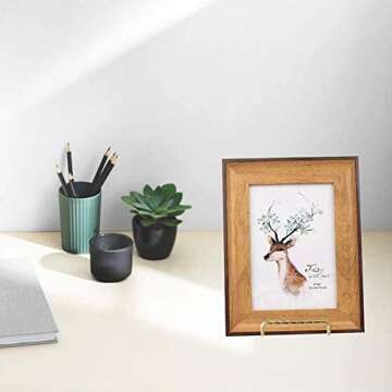 HOHIYA Gold Plate Stands - Perfect for Displaying Plates