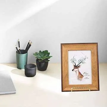 HOHIYA Gold Plate Stands - Perfect for Displaying Plates