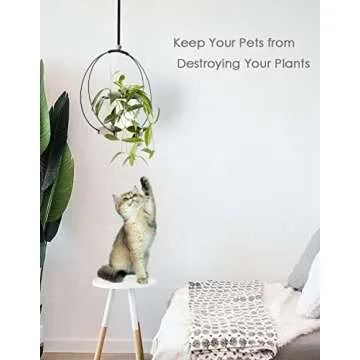 Dravmola Plant Hanger with Wood Base - Boho Macrame Hanging Plant Holder for Indoor Plants Hanging Planter for Wall /Window/Room Decor Black (Pot & Plant Not Included)