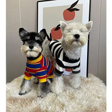 KILLUA 2-Pack Dog Shirts 100% Cotton Striped Tee Puppy Dog Clothes Cat Breathable Strechy T-Shirts, Suitable for Spring and Summer