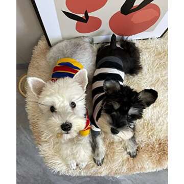 KILLUA 2-Pack Dog Shirts 100% Cotton Striped Tee Puppy Dog Clothes Cat Breathable Strechy T-Shirts, Suitable for Spring and Summer