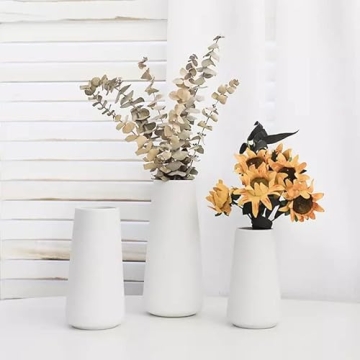Premium Quality Ceramic Vase for Home and Office Decor