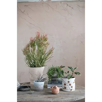 Creative Co-Op Terra Cotta Plant Pot Set - Stylish Dècor