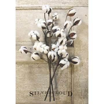 Silvercloud Trading Co. New Cotton Stems 3 Stems/Pack-10 Buds