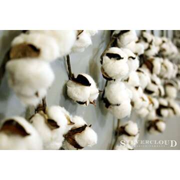Silvercloud Trading Co. New Cotton Stems 3 Stems/Pack-10 Buds