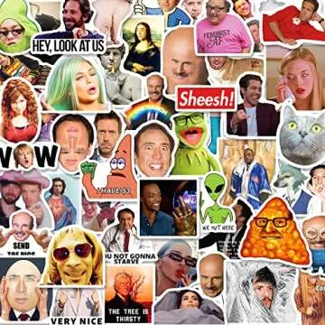 50pcs Meme Funny Stickers,Fashion Internet Celebrity Meme Vinyl Waterproof Decals for Laptop, Bottle, Scrapbook,Phone,Funny Stickers for Adults,Pop Culture Stickers (StickersA)