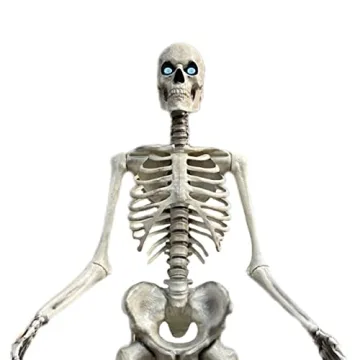 Home Accents 12 ft. Skeleton with LifeEyes for Halloween