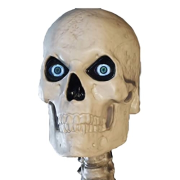 Home Accents 12 ft. Skeleton with LifeEyes for Halloween