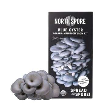 North Spore Organic Blue Oyster Mushroom Spray & Grow Kit (4 lb) | Beginner Friendly & Easy to Use | USDA Certified Organic, Non-GMO | Handmade in Maine, USA