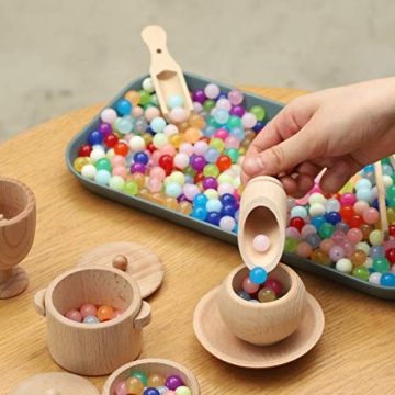 Montessori Wooden Sensory Bin Tools Set for Toddlers