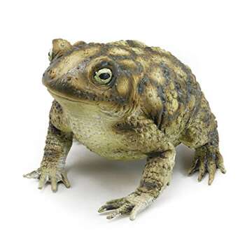 Bristol Novelty AK049 Rubber Toad Prop - Realistic and Lifelike Decoration in Green/Brown
