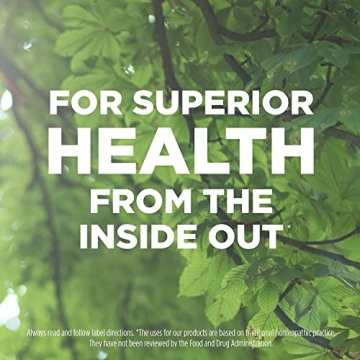 Hyland's Mag Phos 6X - Natural Pain Relief Tablets