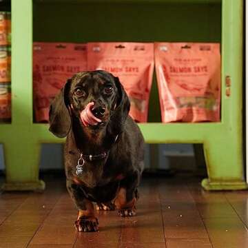 Polkadog Salmon Says Bone Shaped Treats - Omega-3 Rich, Low Fat Healthy Dog Treat - Digestible, Vitamin & Mineral Packed Dog Snacks - Crunchy 3-Ingredient Treat, Ideal for Dogs with Allergies - 7 oz