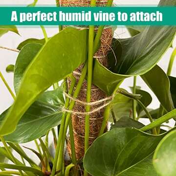 ADEBOLA 2 PCS 26 Inches Tall Moss Poles, Plant Poles for Climbing Plants with Two Garden Jute Rope for Monstera, Sphagnum, Pothos and Other Indoor Plants
