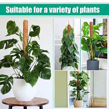 ADEBOLA 2 PCS 26 Inches Tall Moss Poles, Plant Poles for Climbing Plants with Two Garden Jute Rope for Monstera, Sphagnum, Pothos and Other Indoor Plants