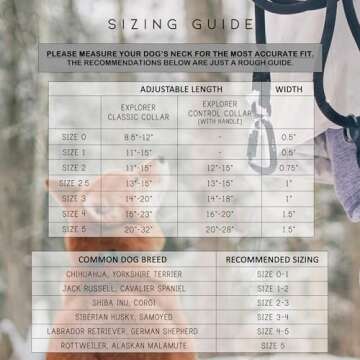 Made to ROAM Premium Dog Collar - Adjustable Heavy Duty Nylon Collar with Quick-Release Metal Buckle (Oregon Haze, Classic Size 4)