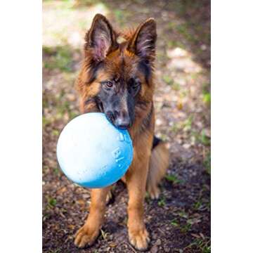 Jolly Pets Bounce-n-Play Dog Toy Ball, 8 Inches/Large, Blueberry, (Model: 2508 BB)